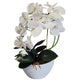 Damich Orquídea Artificial en Maceta, Planta, Flor Artificial, Decoración de Orquídeas Artificiales, 2 Ramas de Flores, Altura Aprox. de 50 cm (Blanco)