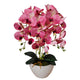 Orquídea artificial de borracha Damich, vaso branco, 3pgrk2