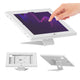 Soporte publicitario para tableta Maclean, con sistema de bloqueo, 12,4"-13", iPad Air/Pro, Samsung Tab S10+/S9+/S8+/S7+, 257 x 350 x 22 mm, MC-956 W