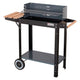 Parrilla rectangular de carbón 53 x 27cm con estante y ruedas Master Grill