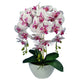 Damich Orquídea Artificial en Maceta Planta Floral Artificial Decoración Orquídea Artificial 3 Ramas en Flor Altura aprox. 60cm (Blanco/Rojo)