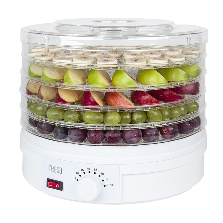 Secadero de setas, verduras y frutas TSA3030 Teesa