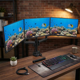 Suporte de mesa para 3 monitores LCD LED com 2x USB 3.0 17-27" 3x7kg VESA 75x75 e 100x100 Maclean MC-811