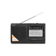 Radio portátil LTC-2016 WILGA USB con batería recargable incorporada