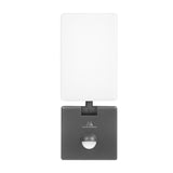 Maclean MCE516 GR Lámpara LED con Sensor de Movimiento y Crepuscular, Iluminación de Pared para Exterior, 10W, 800lm, Blanco Neutro 4000K, IP65 Resistente al Agua