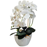 Damich Orquídea Artificial en Maceta, Planta, Flor Artificial, Decoración de Orquídeas Artificiales, 2 Ramas de Flores, Altura Aprox. de 50 cm (Blanco)