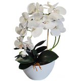 Damich Orquídea Artificial en Maceta, Planta, Flor Artificial, Decoración de Orquídeas Artificiales, 2 Ramas de Flores, Altura Aprox. de 50 cm (Blanco)