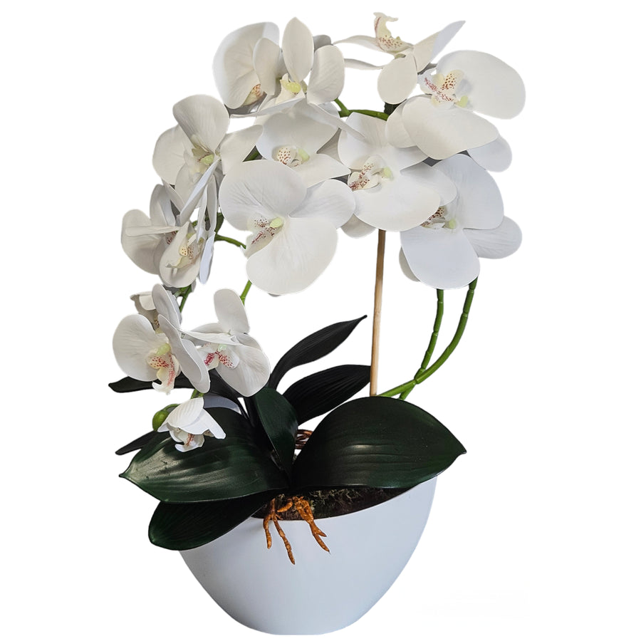 Damich Orquídea Artificial en Maceta, Planta, Flor Artificial, Decoración de Orquídeas Artificiales, 2 Ramas de Flores, Altura Aprox. de 50 cm (Blanco)