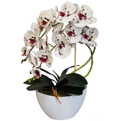 Damich Orquídea Artificial en Maceta, Planta, Flor Artificial, Decoración de Orquídeas Artificiales, 2 Ramas de Flores, Altura Aprox. de 50 cm (Multicolor)