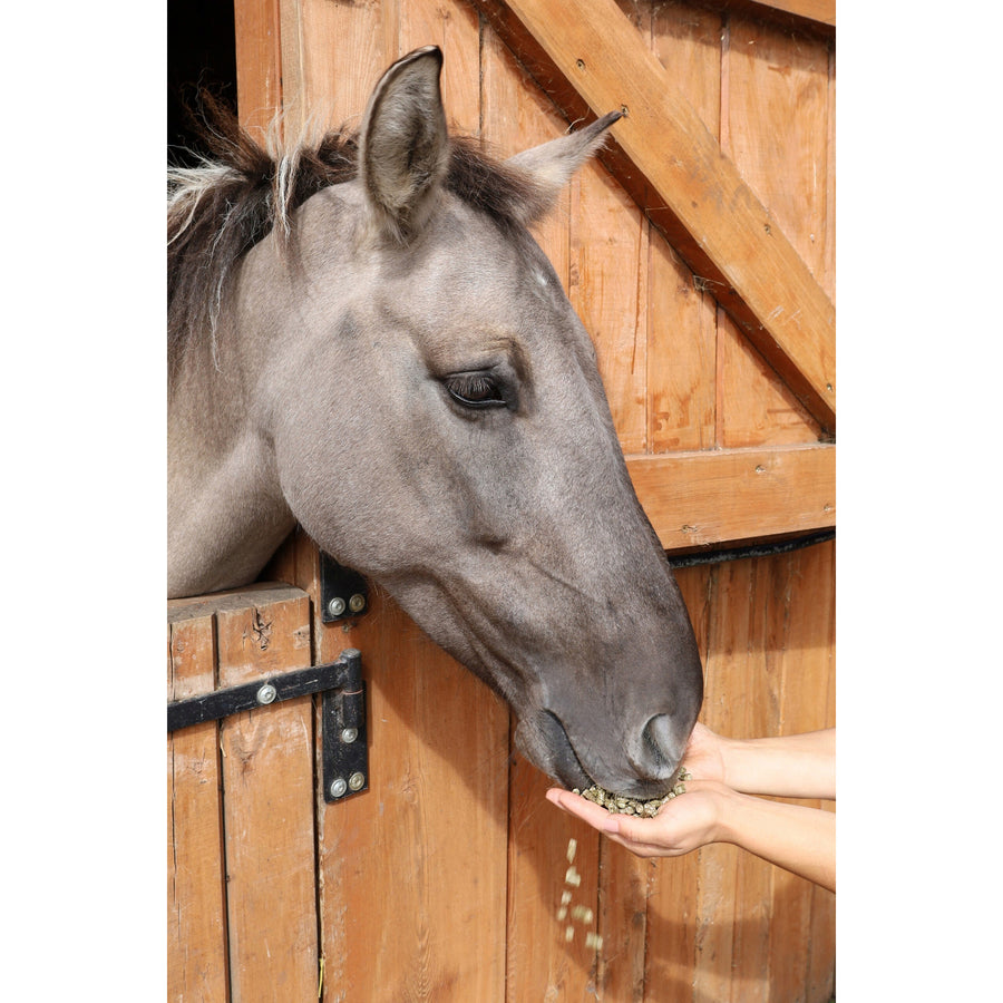 Animax Bolas de hierba, alimento para caballos, a base de hierba de la tierra de los lagos, bolsa de 15 kg.