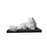 Woodok Colchón para cama de perro, Tejido oxford, Espuma T30, 45x30 cm, Color negro