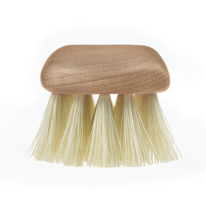 Starmann Cepillo para tapicería, madera de haya, tampico, 18cm, 97/8-T