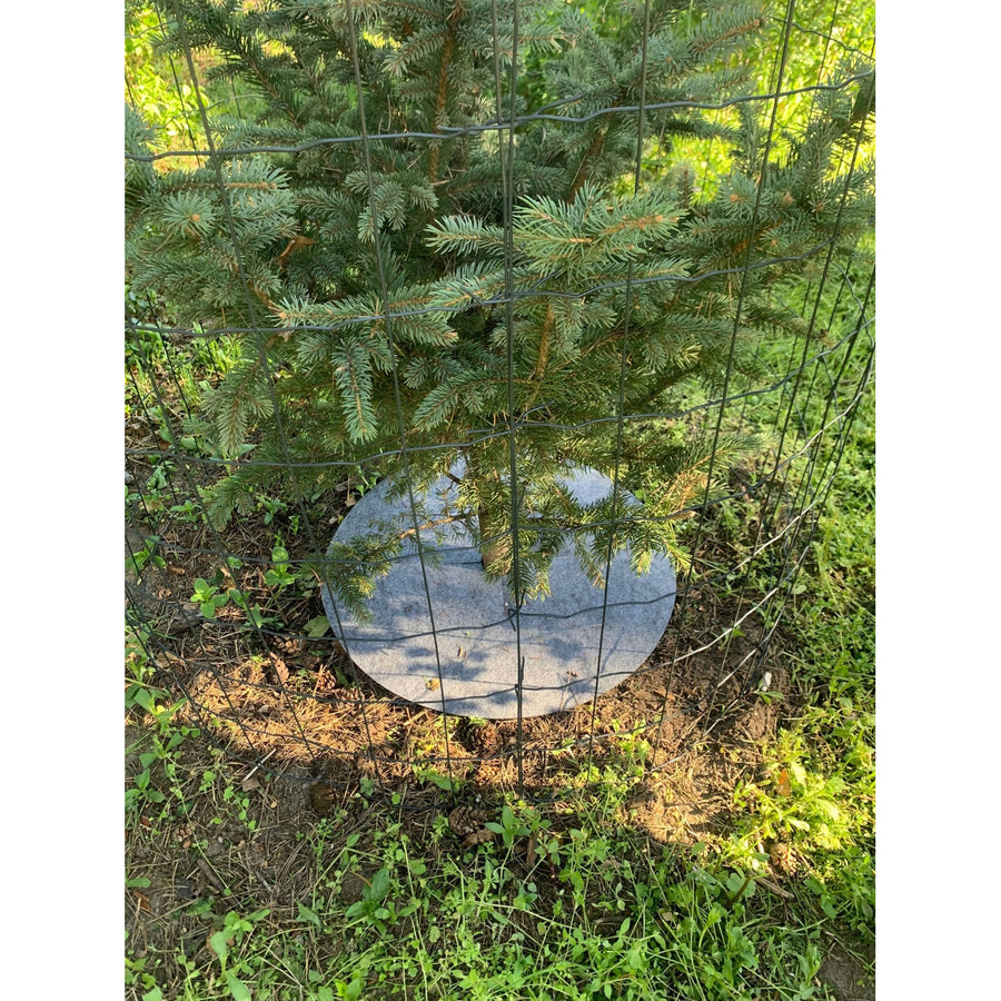 Conjunto de discos de controlo de ervas daninhas Bertoni, 3 peças, 40 cm, cinzento