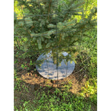 Conjunto de discos de controlo de ervas daninhas Bertoni, 3 peças, 50 cm, cinzento