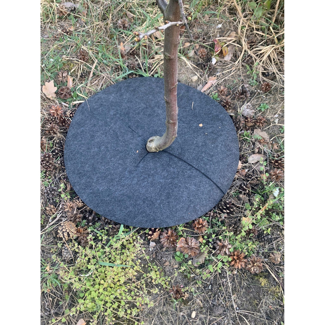 Conjunto de discos de controlo de ervas daninhas Bertoni, 3 peças, 60 cm, cinzento