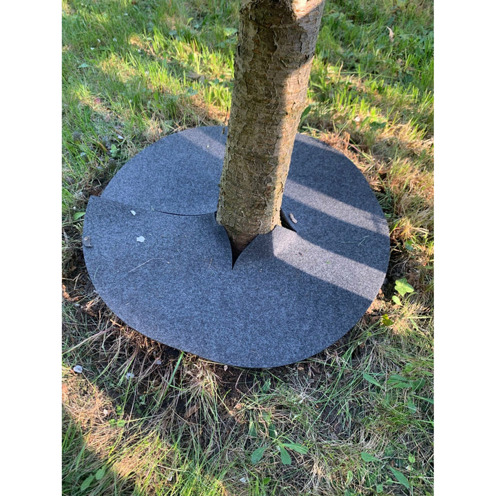 Conjunto de discos de controlo de ervas daninhas Bertoni, 3 peças, 60 cm, cinzento