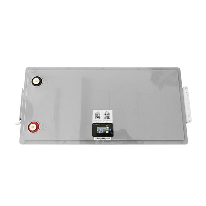 Batería LiFePo4 Lexton de litio hierro fosfato, con BMS, 12,8V, 200Ah, LXLFP200 + cargador de batería LTC Energy LiFePO4