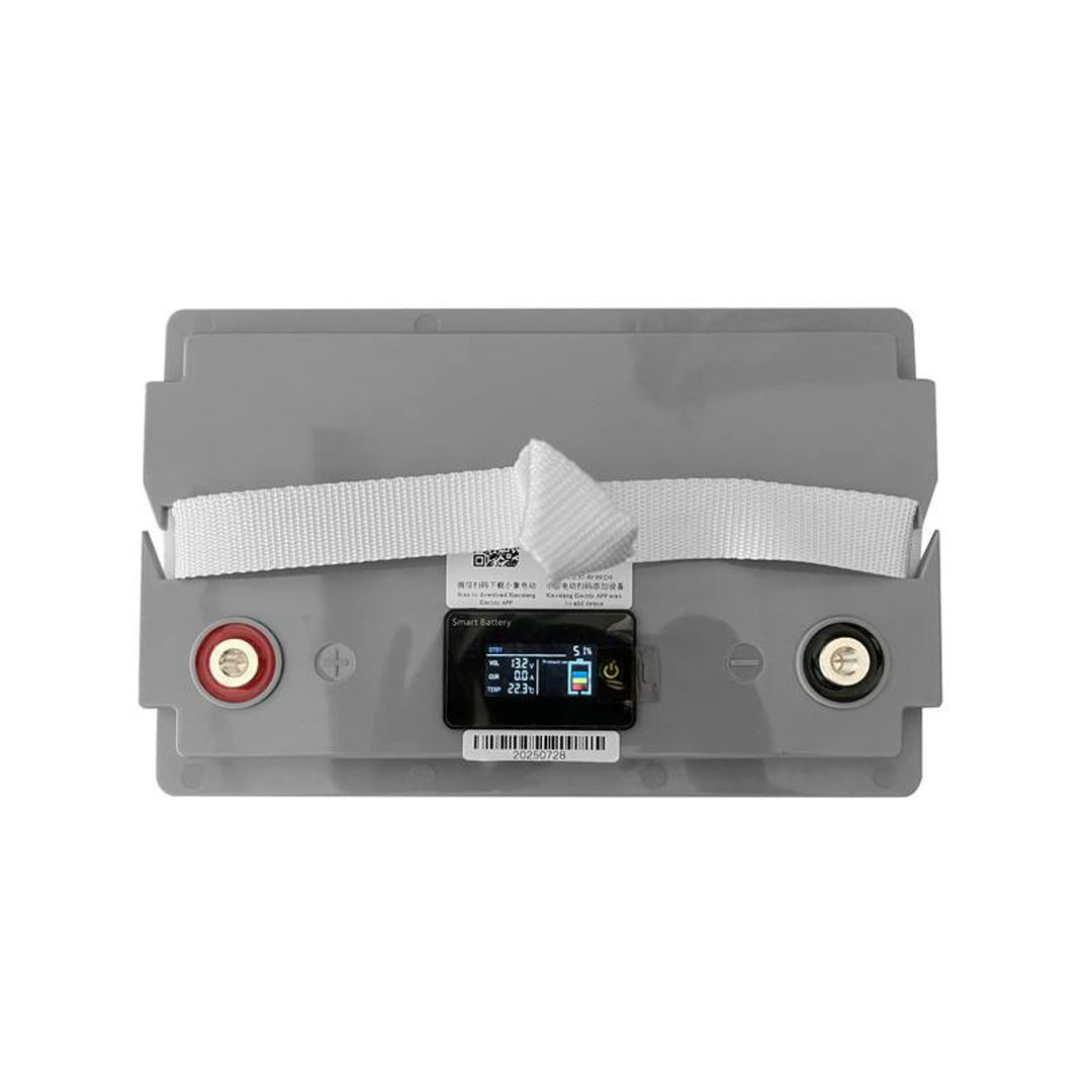 Batería LiFePo4 de fosfato de hierro y litio Lexton, con BMS, 12,8 V, 70 Ah, LXLFP70 + rectificador de batería LiFePO4 de LTC Energy