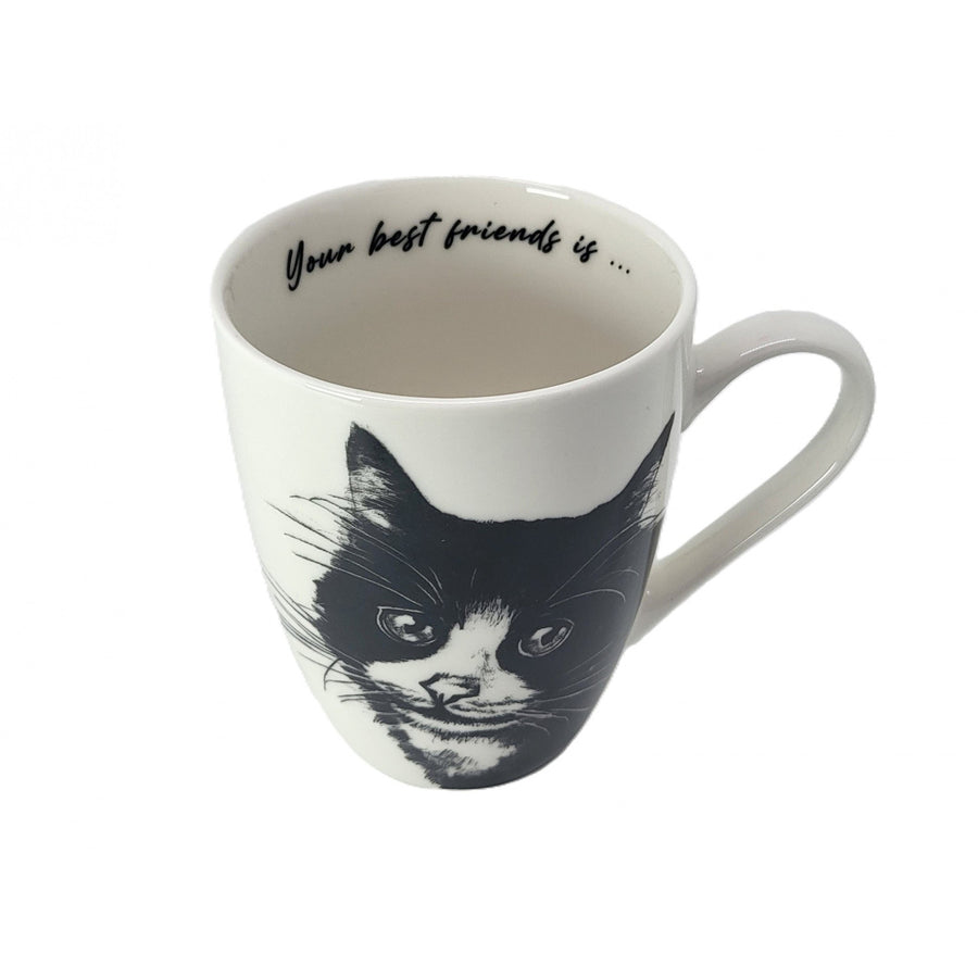 Taza de porcelana Reina Isabel, gato europeo, 350ml, Q1-05218