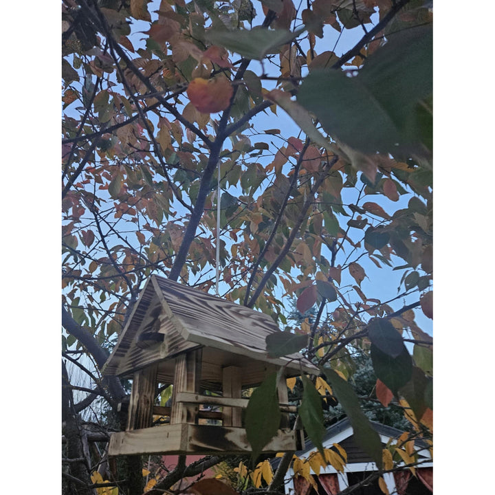 Comedero para pájaros Woodok, de madera, cocido, gancho para colgar + alpiste 1kg