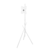 Soporte de suelo para televisor Maclean, 27-55", VESA máx. 200x200, máx. 60 kg, MC-181 W