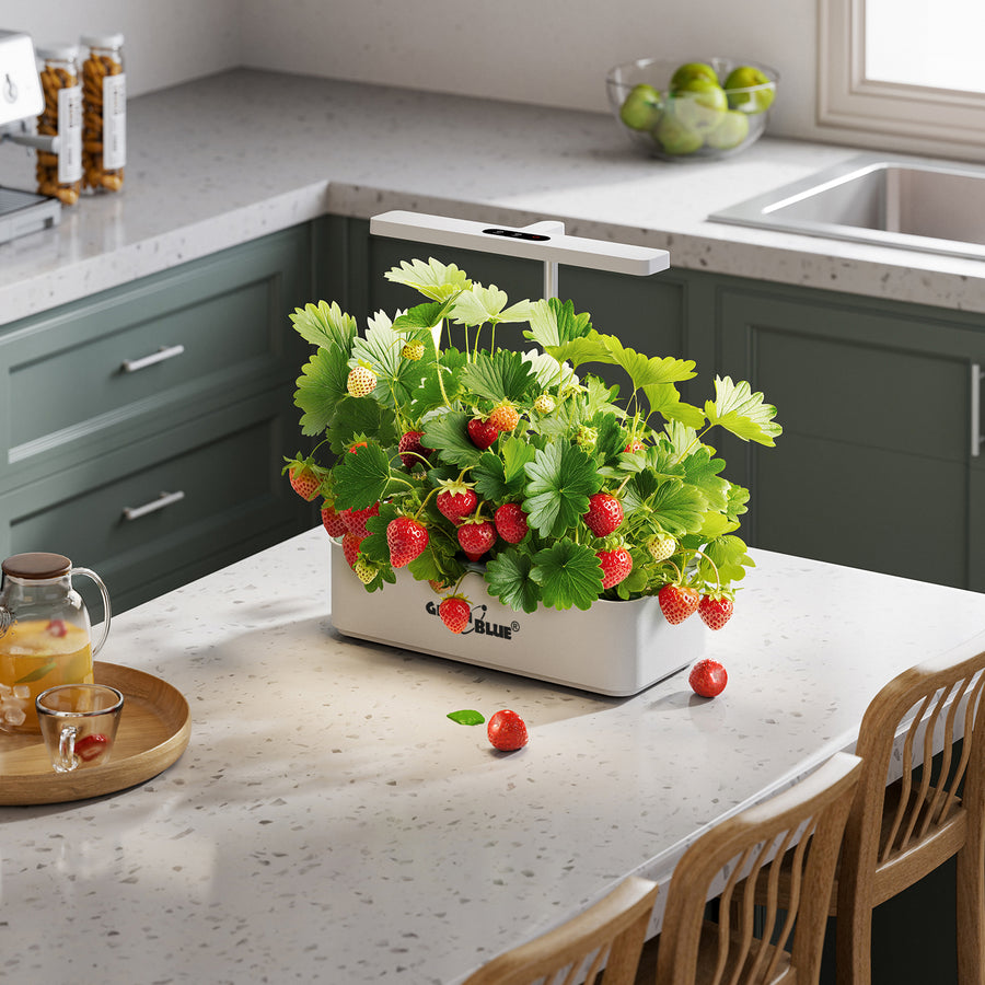 Sistema inteligente de cultivo interior GreenBlue, maceta SMART, capacidad de 4 l, 220-240 V CA, 50/60 Hz, 0,4 A, GB133 + juego de accesorios