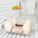 Trampa viva, trampa para martas, ratas, ratones, visones, comadrejas, Viano P1, 2 unidades