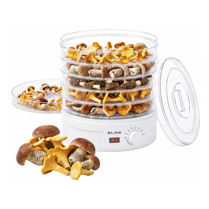 Secador de setas, verduras y frutas Blow, potencia de 500 W, 6 bandejas incluidas, regulación de temperatura de 35 a 75 °C, 44-175