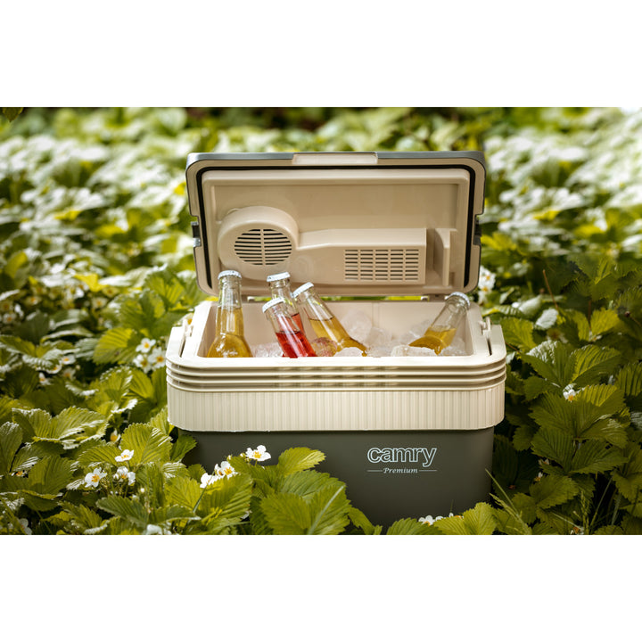 Frigorífico turístico Camry CR 8065, célula Peltier, refrigeração e aquecimento, 21 L