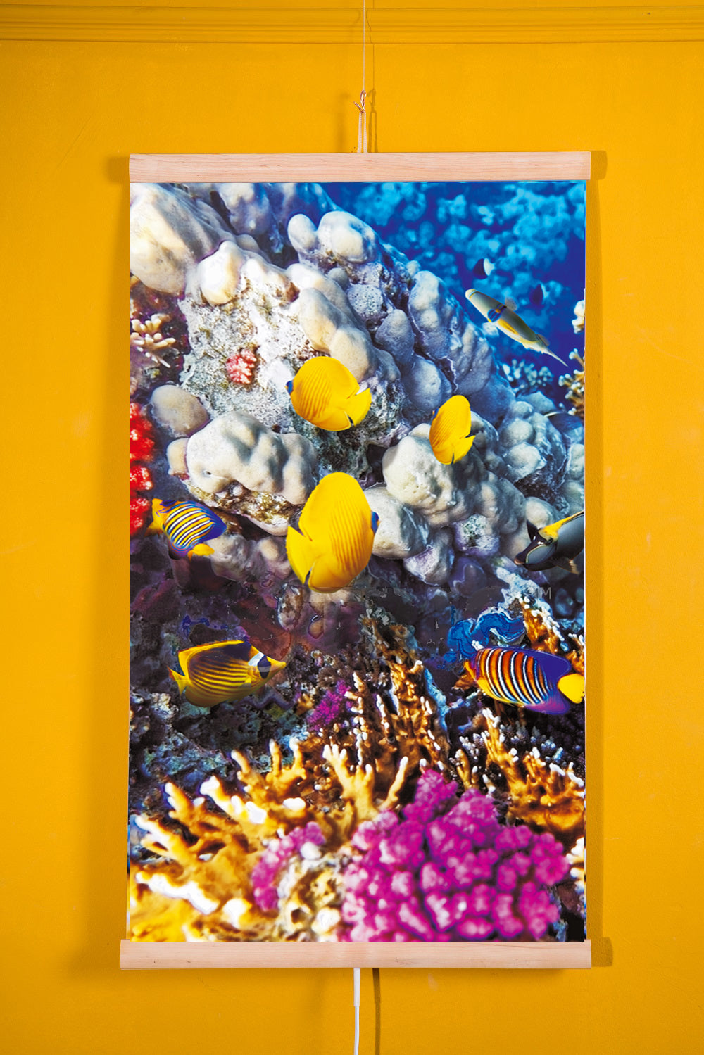 Aquecedor infravermelho - Painel de aquecimento flexível de 430 W com controlador TRIO Design 6 Coral Reef, dimensões 100 x 57 cm
