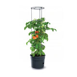 Cultivador de tomate em vaso de tomate de plástico 28L IPOM400-S433