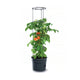 Cultivador de tomate em vaso de tomate de plástico 28L IPOM400-S433