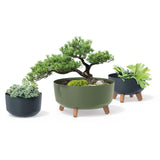 Prosperplast Gracia Maceta baja con patas desmontables incl. inserto para uso interior y exterior Jardinera redonda de plástico resistente a los rayos UV (235mm, Blanco) ...