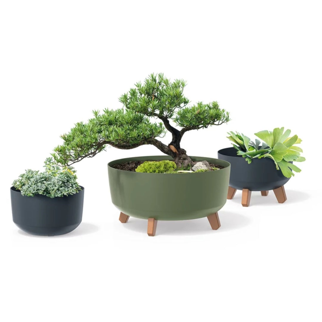 Prosperplast Gracia Maceta baja con patas desmontables incl. inserto para uso interior y exterior Jardinera redonda de plástico resistente a los rayos UV (285mm, Blanco) ...