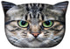 Almofada de design com motivo de gato Almofada decorativa com zíper oculto e enchimento