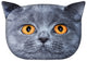 Cojín de diseño con motivo de gato Cojín decorativo con cremallera oculta y relleno Cojín León
