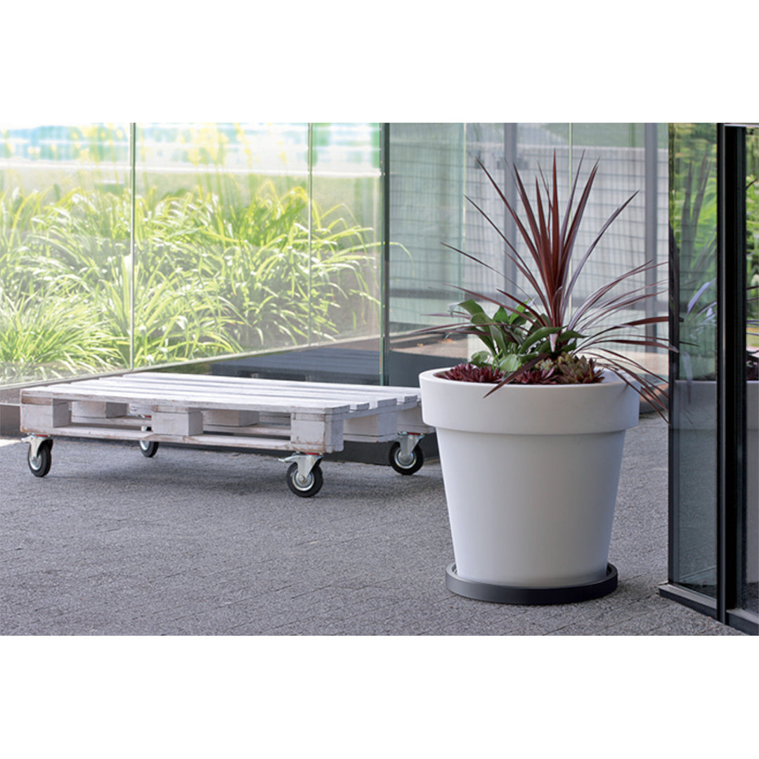 Prosperplast Plato móvil Base redonda IPRR450-S433