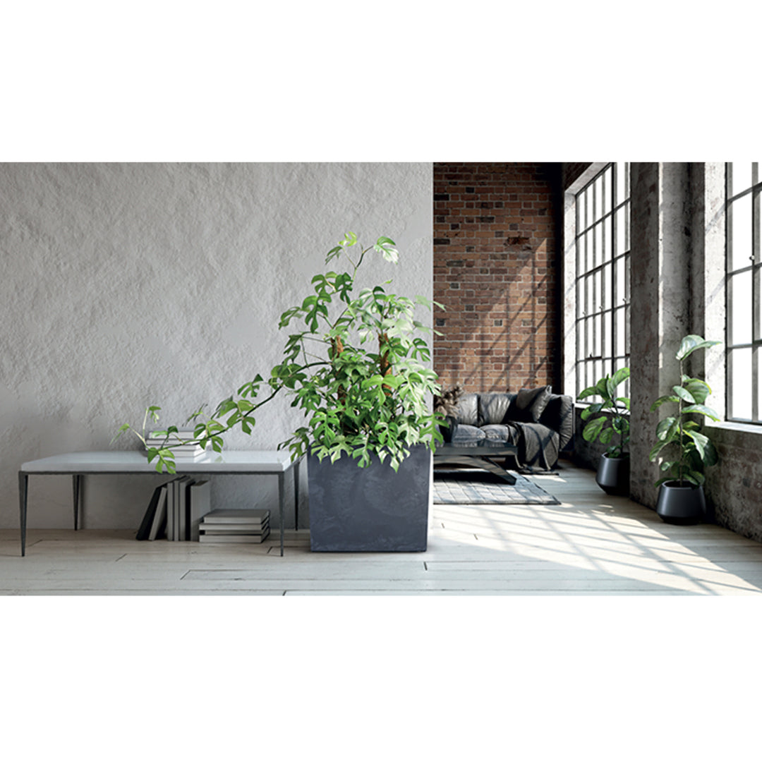 Vaso URBI CASE TOWER BETON EFFECT - antracite