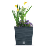 Prosperplast Furu Maceta cuadrada baja con inserto DFS300-S433 - color antracita
