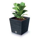 Prosperplast Furu Maceta cuadrada baja con inserto DFS300-S433 - color antracita