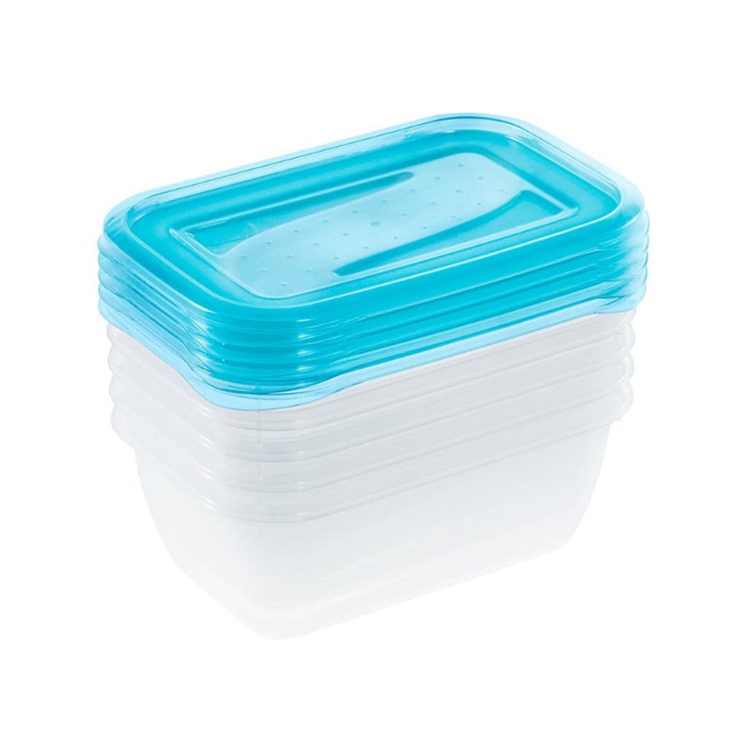 Conjunto de 5 recipientes para alimentos Keeper Fredo Fresh 0,5L