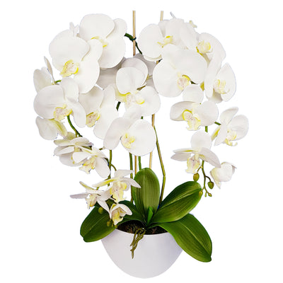 Decoración de flores artificiales orquídea Damich Spotted color blanco